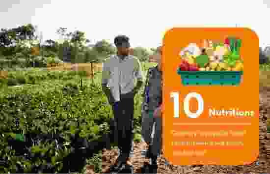 Sehat Foods
