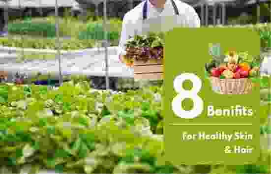 Sehat Foods